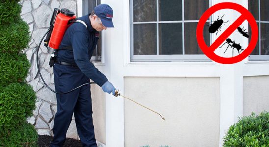 Beşiri Kemirgen İlaçlama böcek ilaçlama ve haşere kontrolü — ilaclama-tr.com